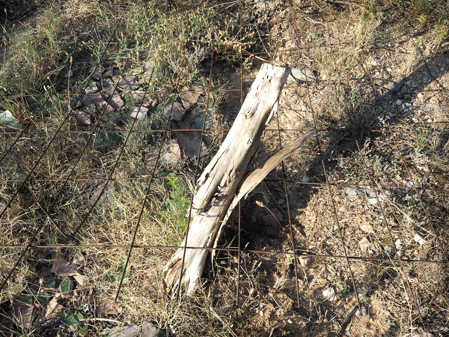 Zona les casetes